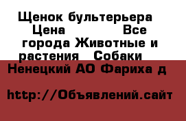 Щенок бультерьера › Цена ­ 35 000 - Все города Животные и растения » Собаки   . Ненецкий АО,Фариха д.